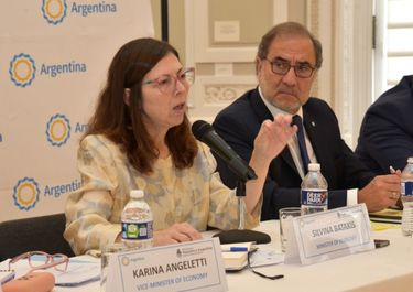 El día después de Washington: vuelve Batakis con un guiño del FMI y un dólar-agro