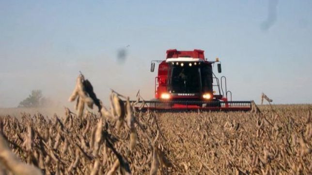 no prende el dolar-soja en el campo bonaerense