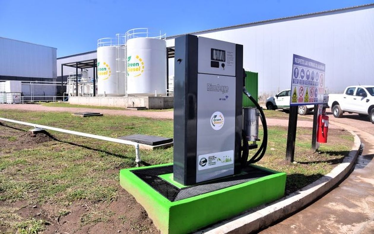 Green Diesel es un emprendimiento familiar que se plantea abrirse al mercado local y regional.