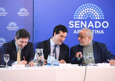 Martín Goerling Lara (PRO), Maximiliano Abad (UCR) y Juan Carlos Pagotto (La Libertad Avanza), durante la Comisión de Acuerdo del Senado. No avanzan los pliegos de Mahiques.&nbsp;
