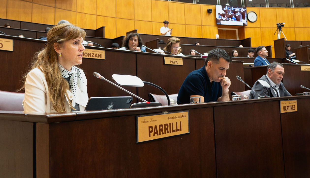 Lorena Parrilli, Darío Martínez y Darío Peralte, representantes del peronismo en la Legislatura de Neuquén.