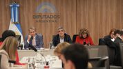 El Plenario de comisiones que investiga Andis.&nbsp;