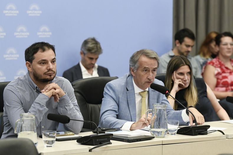 Nicolás Mayoraz, desconoció el dictamen de la oposición.&nbsp;