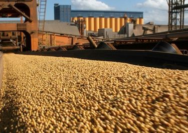Exportaciones bonaerenses en la pandemia: desplome industrial y granos en alza