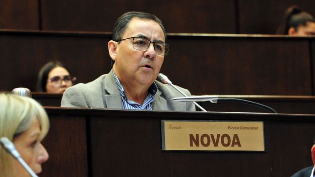 Novoa preside el bloque de Comunidad, el partido de Rolando Figueroa, y la comisión de Asuntos Constitucionales en la Legislatura de Neuquén.&nbsp;