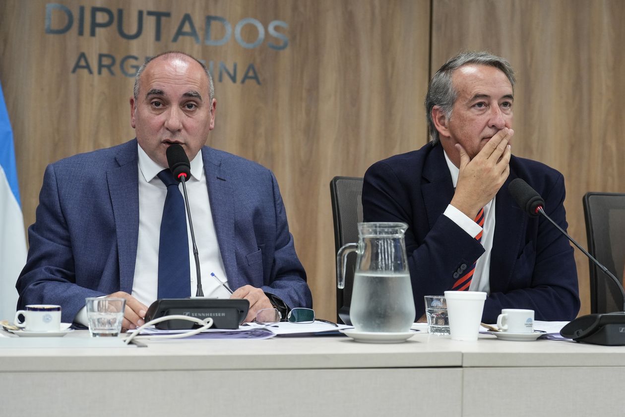 José Peluc y Nicolás Mayoraz, diputados de La Libertad Avanza que representan al Gobierno en la ley de glaciares.&nbsp;