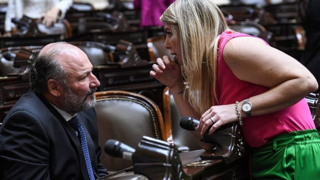 Daniel Kroneberger&nbsp; de la UCR, junto a Victoria Huala, del PRO. Ambos son de La&nbsp; Pampa, claves para la sesión del Senado que debate la ley de glaciares.&nbsp;