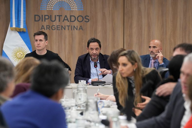 Juan Marino (UP) y Maximiliano Ferraro (CC), durante la reunión de comisión $Libra, que investiga Javier Milei.&nbsp;