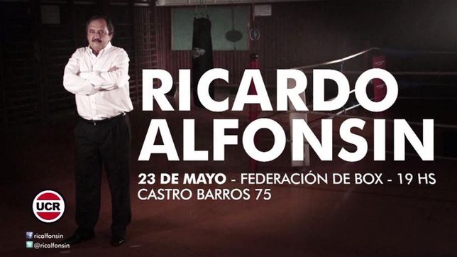 pinas van, pinas vienen, con alfonsin se entretienen