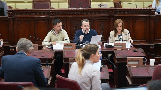 Diario de la Convención de Santa Fe, día 37: Unidos cedió al final y comparte la lapicera de la Justicia
