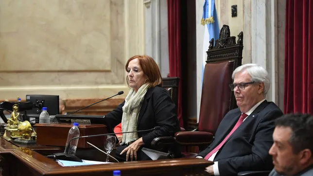 Alejandra Vigo, senadora de Provincias Unidas, apoyó la reforma laboral&nbsp;