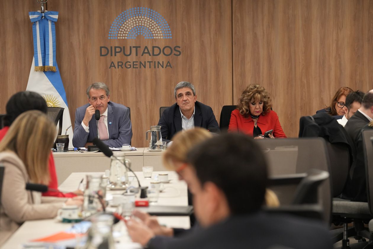 El Plenario de comisiones que investiga Andis.&nbsp;