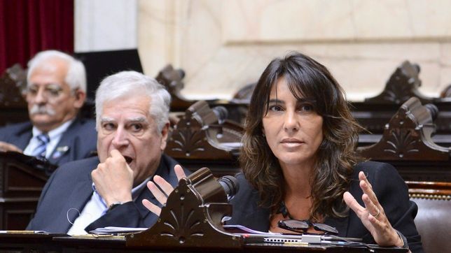 Natalia De la Sota en la Cámara de Diputados de la Nación. Atrás, Carlos Gutiérrez.&nbsp;