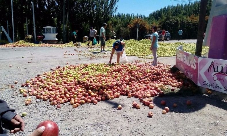 peras y manzanas