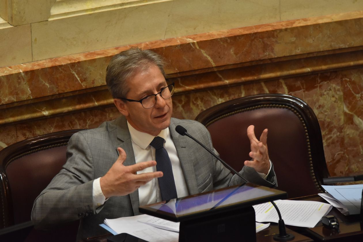 Eduardo Vischi, jefe de la UCR en el Senado.&nbsp;