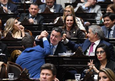 Gabriel Bornoroni, jefe de La Libertad Avanza, durante la votación de la ley Hojarasca, de Federico Sturzenegger.&nbsp;