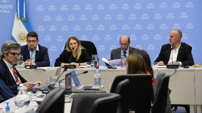 Gabriela Brouwer de Koning, diputada de la UCR, durante la reunión que debatió sobre la movilidad jubilatoria de Javier Milei.&nbsp;