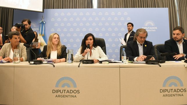Laura Rodríguez Machado (LLA), a cargo del plenario que dictaminó el régimen penal juvenil del Gobierno.&nbsp; 