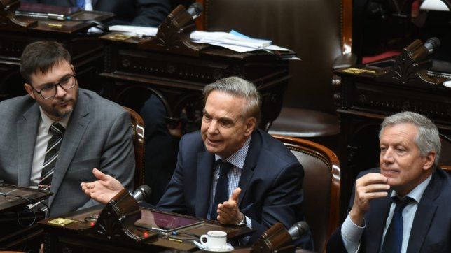 Miguel Ángel Pichetto, diputado de Encuentro Federal, durante el debate de las universidades.&nbsp;