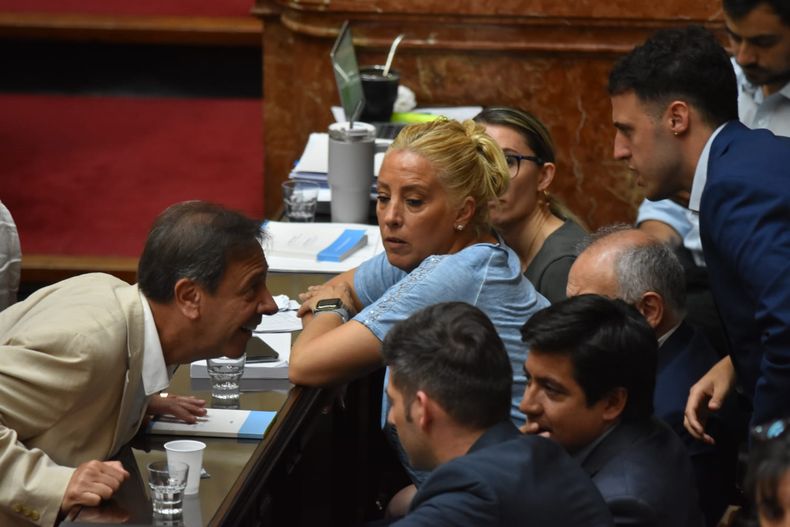 Oscar Zago, presidente del bloque de diputados de La Libertad Avanza.