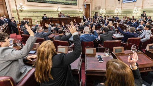Santa Fe: la Convención constituyente puso fin a las reelecciones indefinidas de legisladores