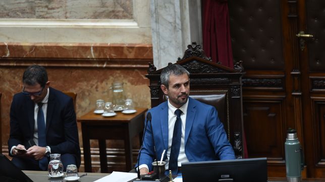 martin menem apura una ley para restringir los paros docentes