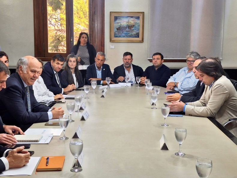 La Mesa de Diálogo por la Barerra Sanitaria se reunió el lunes en Buenos Aires.&nbsp;
