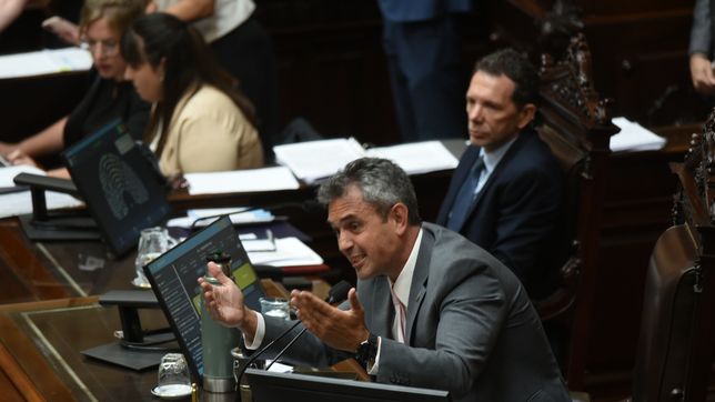 Martín Menem, presidente de la Cámara de Diputados.