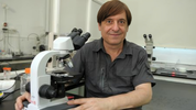Daniel Salamone