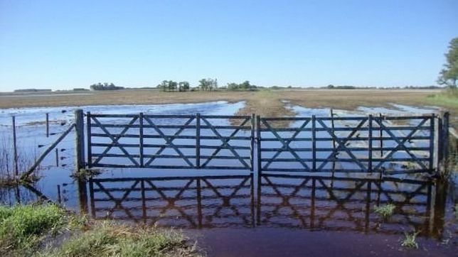 prorrogan la emergencia agropecuaria en santa fe