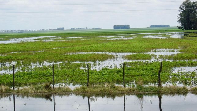 inundaciones: balcarce tambien pide la ?emergencia agropecuaria?