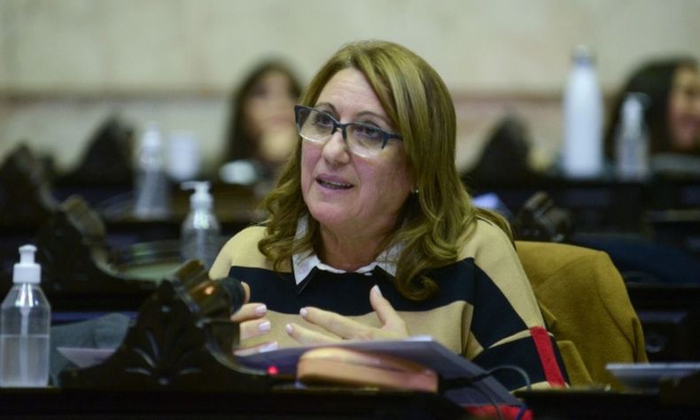 Mónica Fein, presidenta del Partido Socialista.