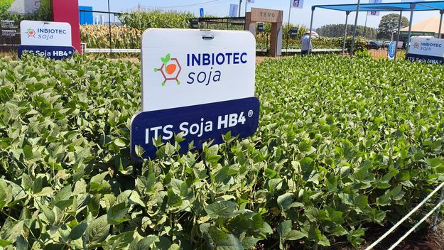 Agricultura cuestionó a Gustavo Idígoras por validar alertas europeas sobre soja HB4