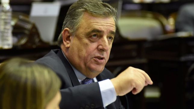 ¿se rompe? arde la ucr en diputados