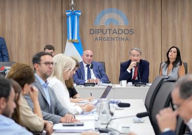 José Peluc y Nicolás Mayoraz (La Libertad Avanza), diputados que representan al Gobierno en la reforma de la ley de glaciares.&nbsp;