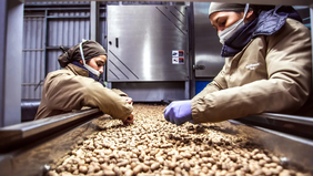 El sector del maní es alcanzado por las retenciones en el proyecto de ley ómnibus de Javier Milei