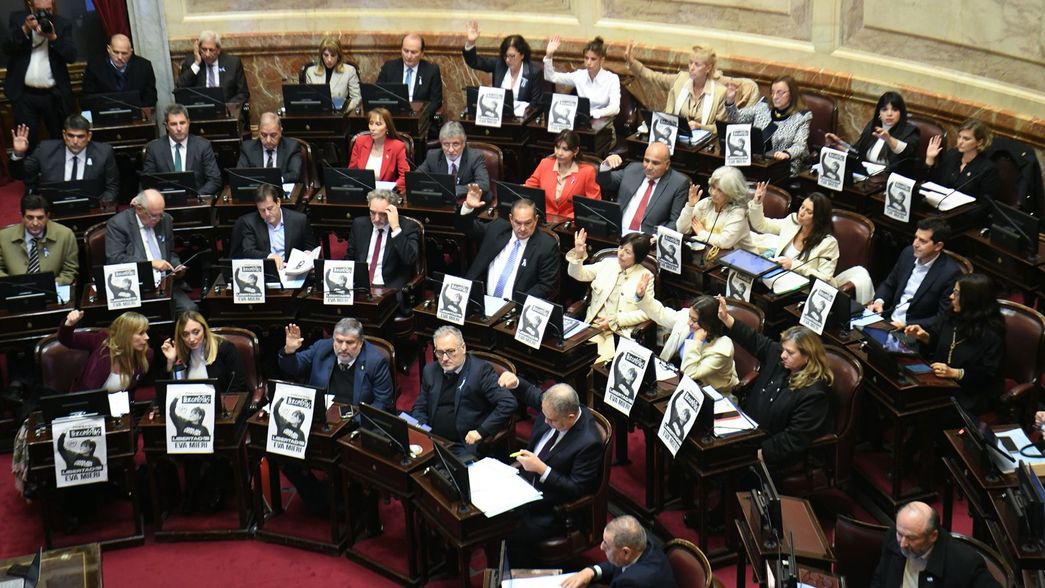 El bloque Unión por la Patria, clave para la sanción de jubilaciones. 