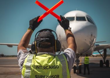 Los cielos abiertos de Javier Milei