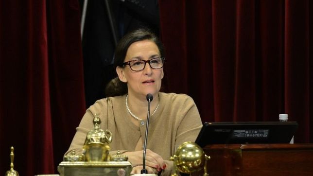 michetti desafia a pichetto y ratifica el giro que demora la ley de aborto