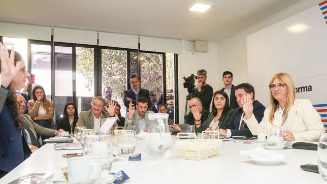 Diario de la Convención de Santa Fe, día seis: Amalia Granata se quedó sola por impugnar a Locomotora Oliveras