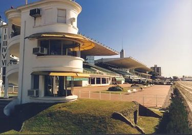 La Plata: planean una villa hípica, un hotel y mudar el Bingo
