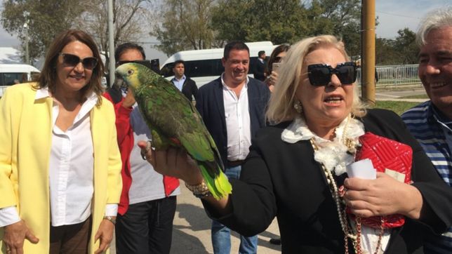 a lo cfk: carrio lanza una campana nacional para presentar su libro